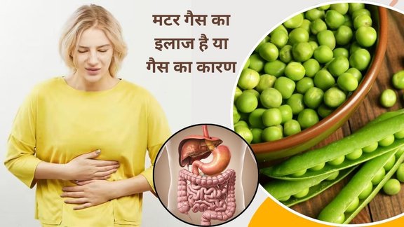 Peas gas problem, Do peas cause gas, Peas digestion issues, Peas side effects, How to eat peas for digestion, Peas bloating, Peas acidity problem, Peas for weak digestion,