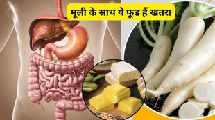Radish benefits,Foods not to eat with radish, Radish and milk combination, Radish and yogurt combination, Ayurvedic food rules, Radish health tips, Winter radish recipes,