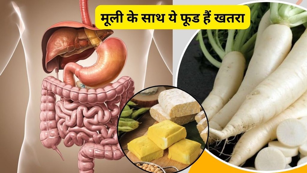 Radish benefits,Foods not to eat with radish, Radish and milk combination, Radish and yogurt combination, Ayurvedic food rules, Radish health tips, Winter radish recipes, Radish benefits,Foods not to eat with radish, Radish and milk combination, Radish and yogurt combination, Ayurvedic food rules, Radish health tips, Winter radish recipes,