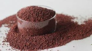 winter superfood, millet health benefits, healthy eating habits, natural immunity booster, fitness diet foods, ragi benefits for immunity and weight loss, ragi recipes for healthy diet, वजन घटाना हो तो रागी कैसे खाएं, इम्युनिटी बढ़ाने में रागी के फायदे, डाइट में रागी शामिल करने के फायदे, ragi nutrition benefits, immunity boosting foods, healthy diet tips, डाइट में रागी शामिल करें, रागी खाने के फायदे, रागी के फायदे, वजन घटाने के लिए रागी, इम्युनिटी बढ़ाने वाले फूड, ragi health benefits, ragi for weight loss