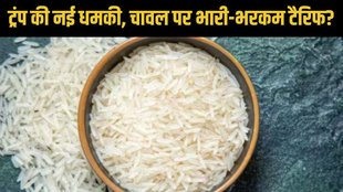 Donald Trump, Trump tariffs, US tariffs on rice exports, KRBL share price