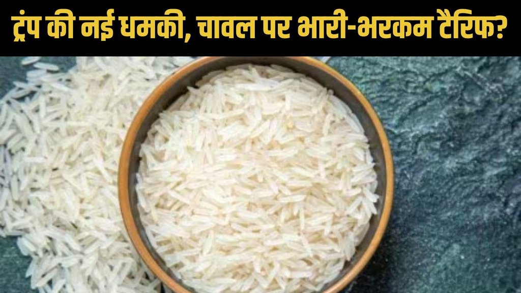 Donald Trump, Trump tariffs, US tariffs on rice exports, KRBL share price Donald Trump, Trump tariffs, US tariffs on rice exports, KRBL share price