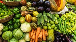 सर्दी में कौन सी सब्जियां कर सकती हैं पाचन पर ज़हर का काम, किसे खाने से बढ़ सकती गैस और ब्लोटिंग, देखिए लिस्ट