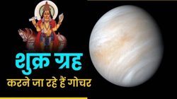 12 महीने बाद वैभव के दाता शुक्र करेंगे उच्च राशि मीन में प्रवेश, इन राशियों का शुरू होगा गोल्डन टाइम, नई नौकरी के साथ अपार धनलाभ के योग