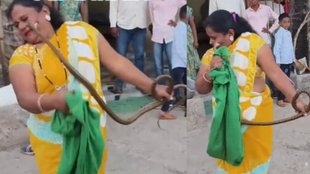 Viral Video, snake, Trending Video, snake bite