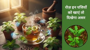 Benefits of Tulsi leaves,Eating Tulsi on empty stomach