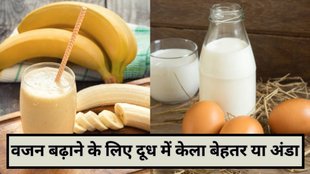 banana milk for weight gain, egg milk for weight gain, weight gain drink with milk, healthy weight gain tips, protein shake for weight gain, weight gain diet in hindi, healthy nutrition tips, fitness and wellness, home remedies for weight gain, वजन बढ़ाने के लिए दूध में केला मिलाकर पीना सही है या अंडा, वजन बढ़ाने के लिए दूध और अंडा कब पिएं, वजन बढ़ाने के लिए केला दूध फायदे, दुबलेपन के लिए दूध में क्या मिलाएं, वजन बढ़ाने के लिए प्रोटीन ड्रिंक घर पर, वजन बढ़ाने के लिए दूध में केला मिलाकर पीना सही है या अंडा, वजन बढ़ाने के लिए दूध और अंडा कब पिएं, वजन बढ़ाने के लिए केला दूध फायदे, दुबलेपन के लिए दूध में क्या मिलाएं, वजन बढ़ाने के घरेलू उपाय, we