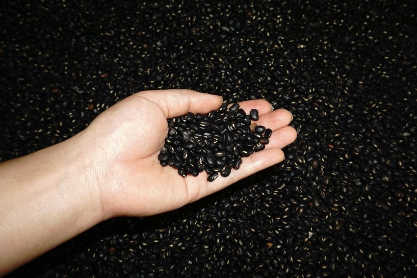 A Nutrient-Rich Superfood With 7 Powerful Health Benefits