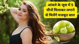 Amla Juice for Hair Growth | Kacha amla ko balo me kaise lagaye | How to make amla juice