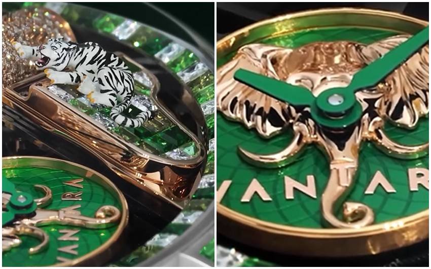 Anant Ambani watch Vantara