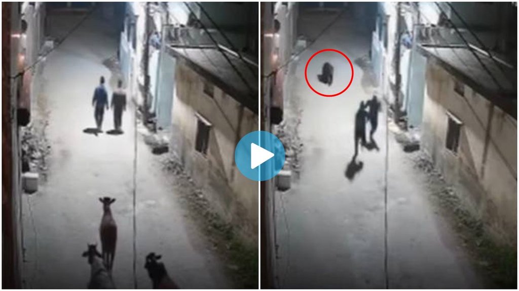 Rishikesh Viral Video, Bear Walk on Street, Rishikesh viral video,