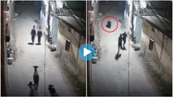 ऋषिकेश में नाइट वॉक पर निकले दो युवकों के सामने अचानक आया भालू, वायरल वीडियो देख नहीं रुकेगी हंसी