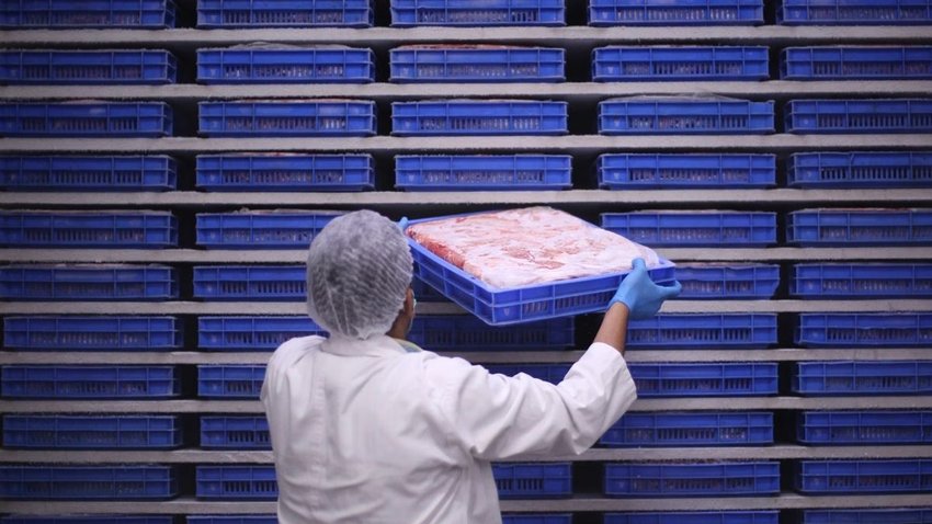 Bhopal, BMC, Beef, Bhopal BJP