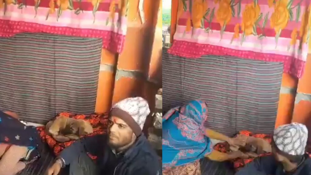 Dog circling temple idols as people worship it in Bijnor viral video