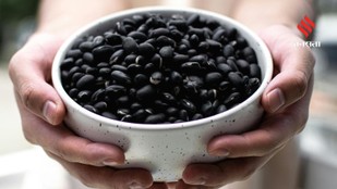 Black Beans Are More Powerful Than You Think