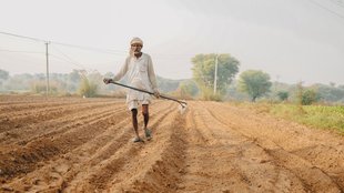 Budget 2026 agriculture sector expectations, बजट 2026 से क्या हैं कृषि क्षेत्र की उम्मीदें