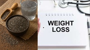Chia seeds for weight loss benefits, How to eat chia seeds to lose weight, Chia seeds and hunger control research, वजन घटाने के लिए चिया सीड्स