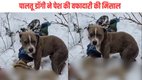 Himachal Pradesh Pet pitbull Standing Guard Next To Owner Body For four Days In Chamba Rescued By Army Viral Video Moves internet
