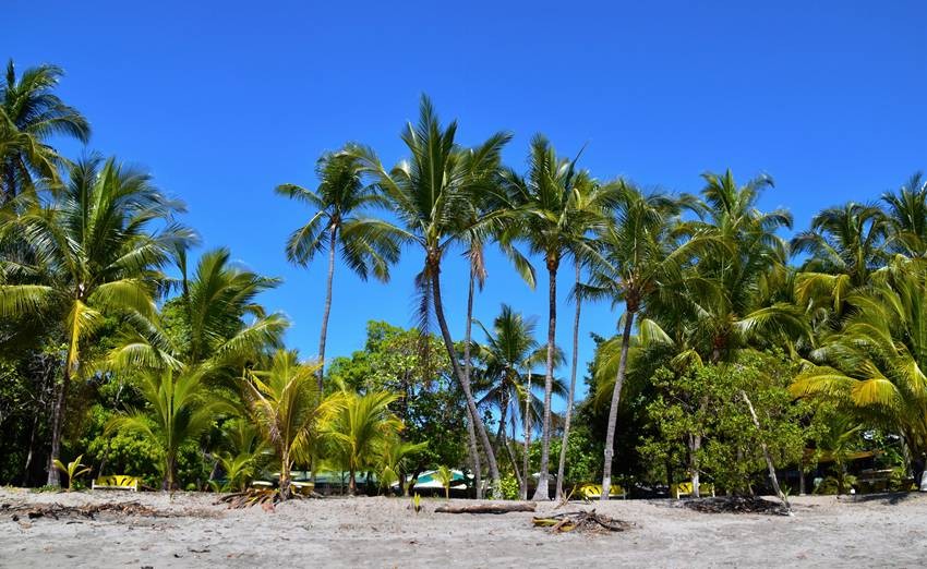 Islands famous for coconut trees in India