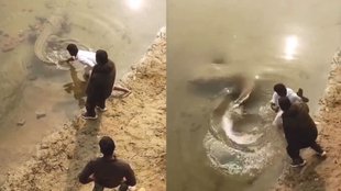 Men teasing a sleeping crocodile moments before attack in viral video