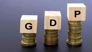 Economic Survey 2026, Economic Survey