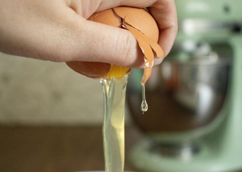 Egg protein benefits