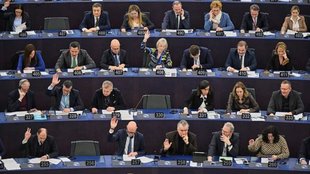 European Parliament, EU, United States