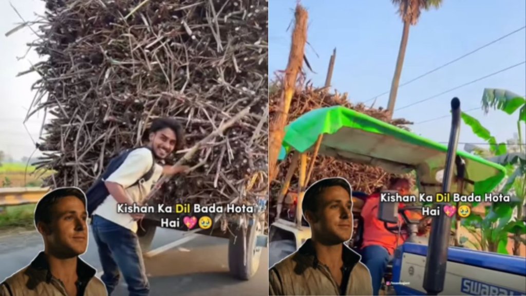 When kindness speaks louder than anger Farmer reaction to sugarcane theft melts hearts online watch Video When kindness speaks louder than anger Farmer reaction to sugarcane theft melts hearts online watch Video