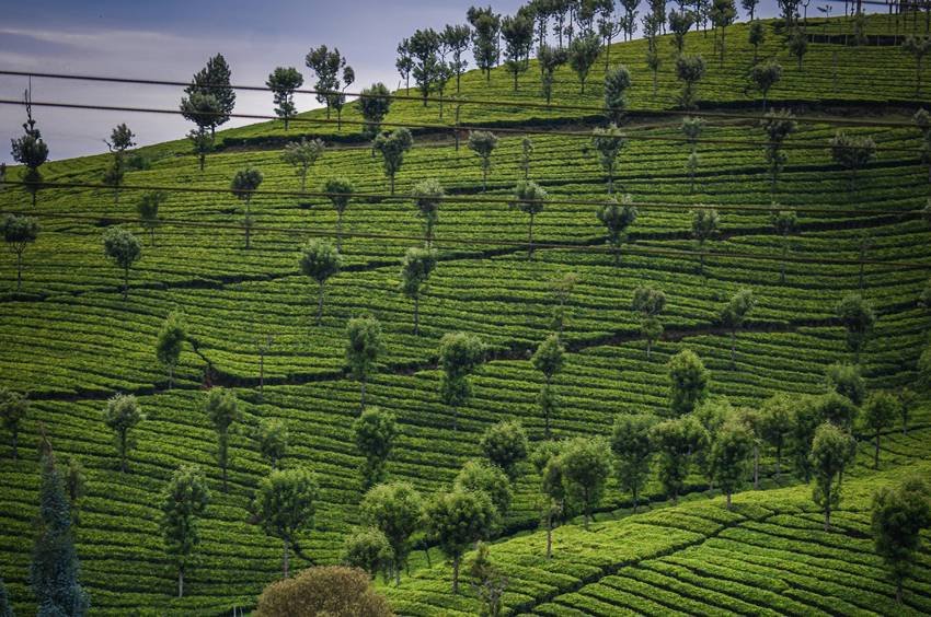 February March travel destinations India