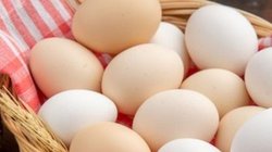 How To Check Eggs: सेहत के लिए खतरनाक हो सकता है खराब अंडा, इन 3 आसान तरीकों से करें पहचान