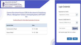 IBPS PO Final Result Out, ibps.in, IBPS PO Bharti 2025, IBPS PO Mains,