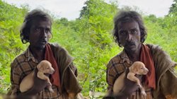 कूड़ा बीनने वाले ने पाल रखे हैं 10-15 डॉगी, कमाई का 90 प्रतिशत उनपर करता है खर्च, वारयल वीडियो देख यूजर्स बोले – दिल का राजा है यह