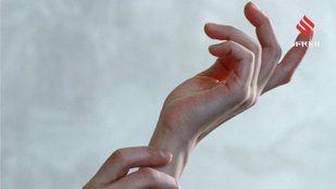 Interesting Human Body Facts About Everyday Anatomy