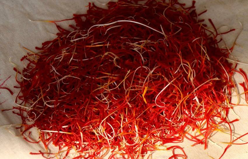 Iran saffron production