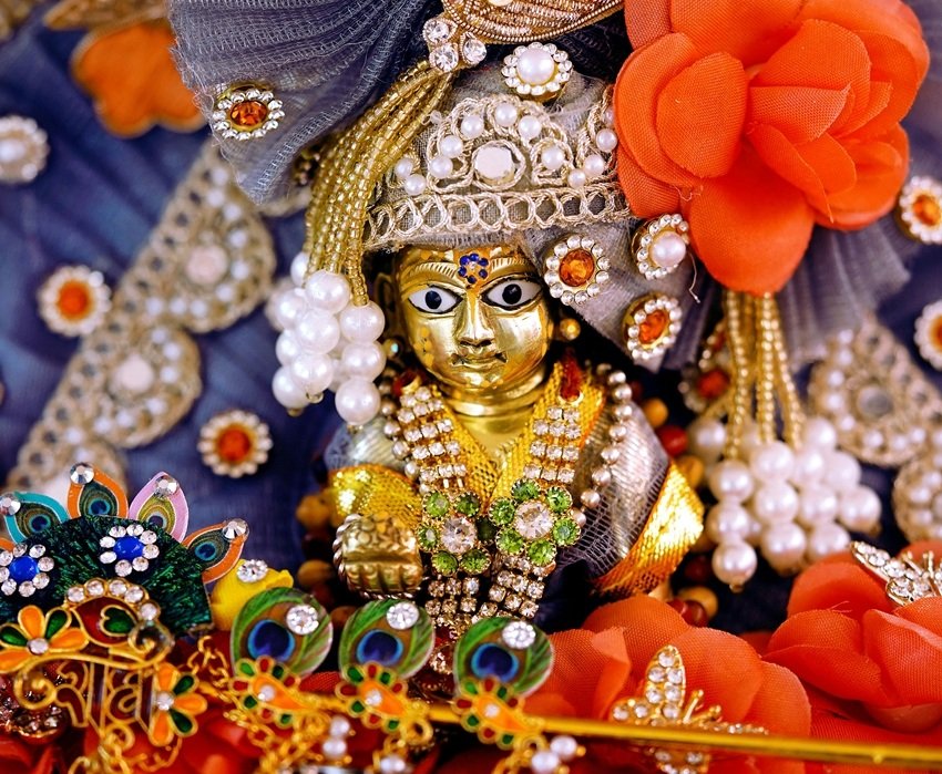 Laddu Gopal seva rules
