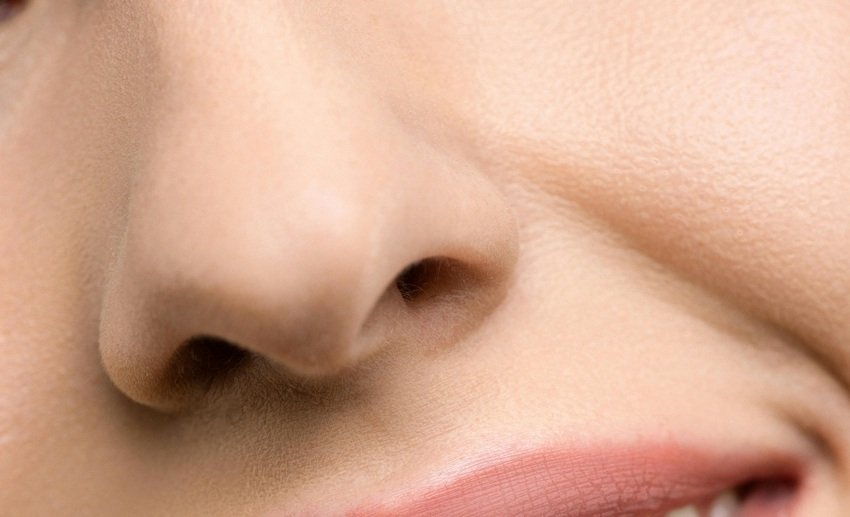 Lesser known body parts