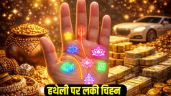 Palmistry: भाग्यशाली लोगों की हथेली पर होते हैं ये 6 शुभ निशान, बनते हैं अकूत धन- दौलत के मालिक, जीते हैं लैविश लाइफ