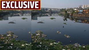 MITHI RIVER, BMC ELECTION