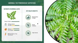 Moringa Benefits: 300 से ज्यादा बीमारियों का काल है मोरिंगा! जानें क्यों हर दिन इसके पत्तों का सेवन करना है जरूरी