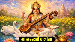Maa Saraswati Chalisa: बसंत पंचमी के दिन जरूर करें सरस्वती चालीसा का पाठ, मां शारदा देंगी ज्ञान और धन का आशीर्वाद… जय श्री सकल बुद्धि बलरासी…