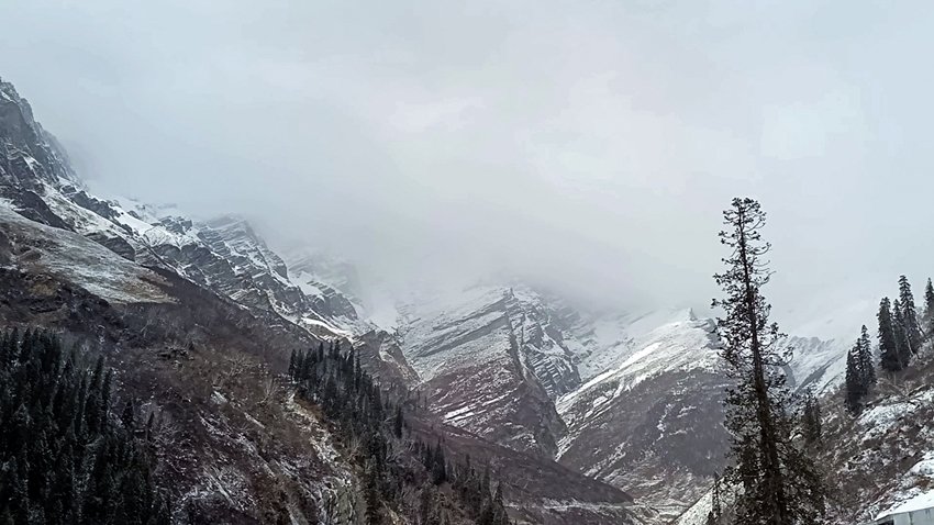 Solang Nala snowfall