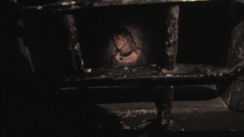 Megan is Missing (2011)