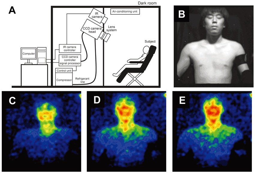 Metabolic light in humans