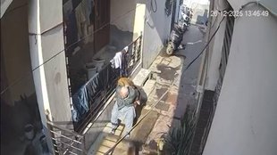 Monkey Attack, Old Lady, Viral Video, Bahadurgarh, Haryana News,