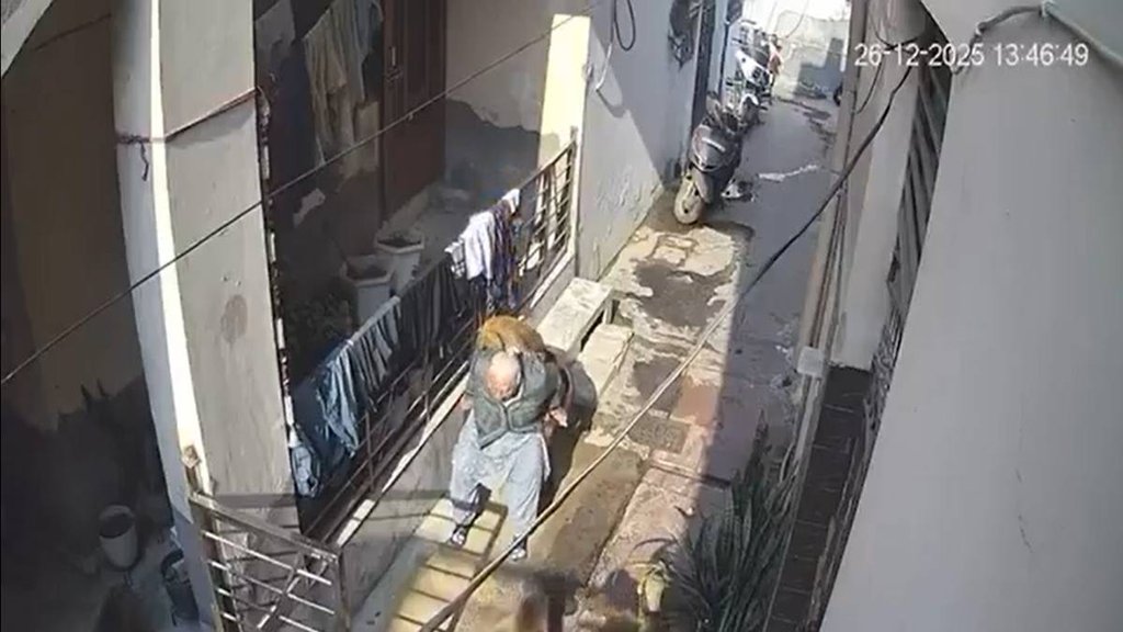 Monkey Attack, Old Lady, Viral Video, Bahadurgarh, Haryana News,