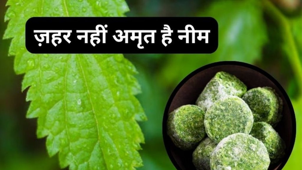 Health benefits of Neem leaves, Neem leaves side effects,