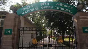 yuvraj mehta, NGT, Software engineer yuvraj, noida