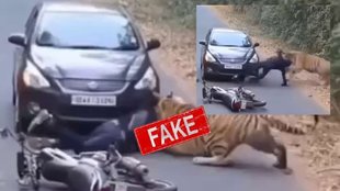 AI-generated video shared as real