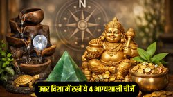 North Direction Vastu : घर की उत्तर दिशा में रखें ये 4 लकी चीजें, धन- समृद्धि में होगी वृद्धि, धन के देवता कुबेर रहेंगे मेहरबान