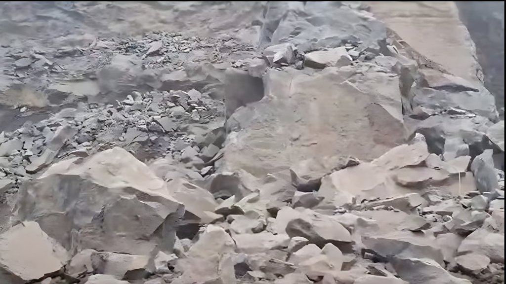 Odisha News | latest news | hindi news Odisha News | latest news | hindi news